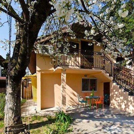 Cherry Tree Art House Belgrad Dış mekan fotoğraf
