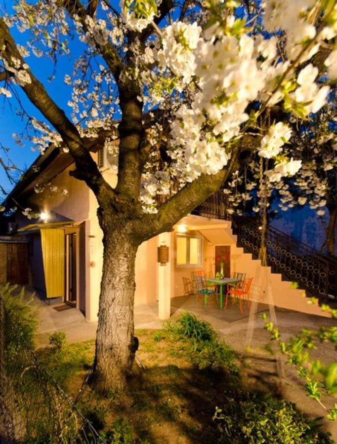 Cherry Tree Art House Belgrad Dış mekan fotoğraf