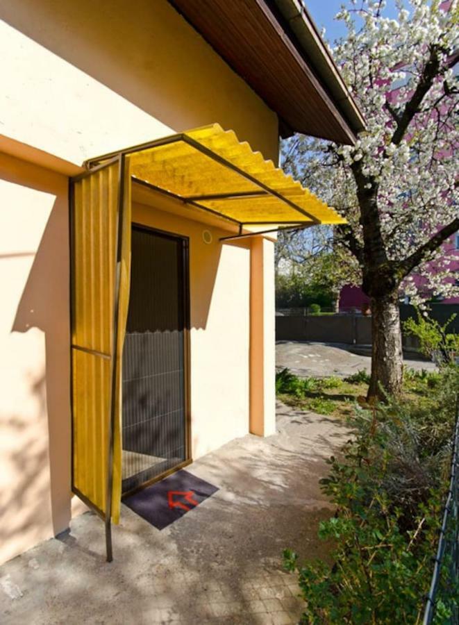 Cherry Tree Art House Belgrad Dış mekan fotoğraf